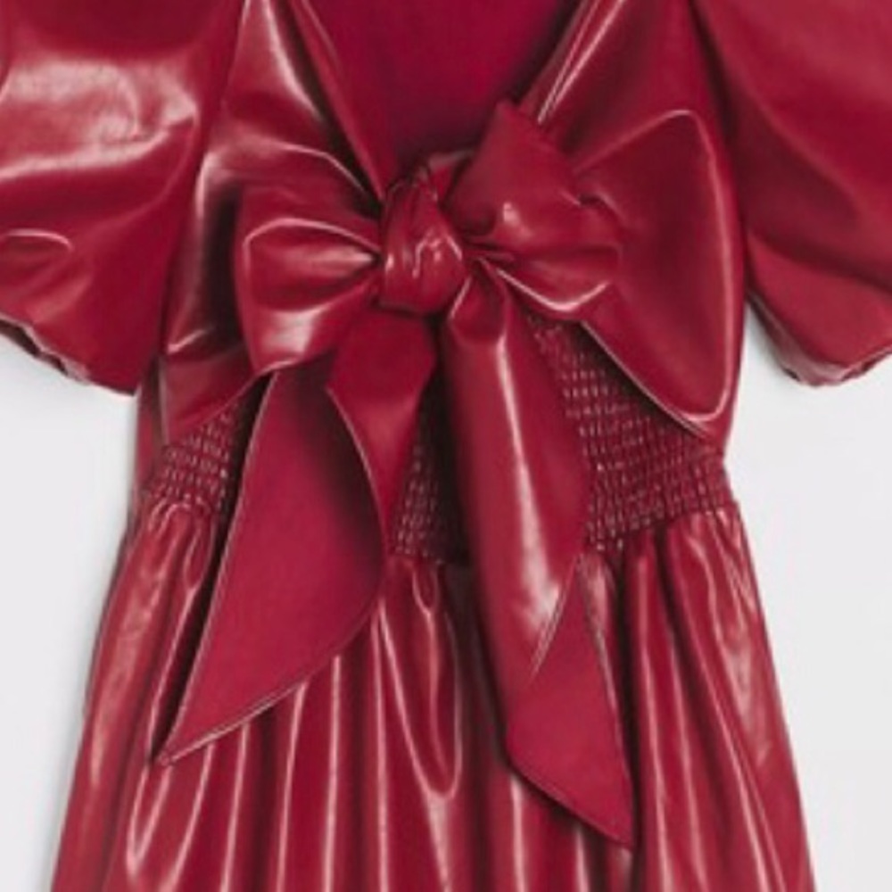 NWT ANTHROPOLOGIE GREER FAUX LEATHER MINI DRESS - Picture 10 of 13